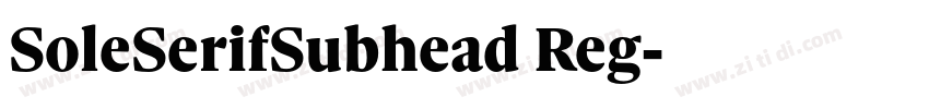 SoleSerifSubhead Reg字体转换